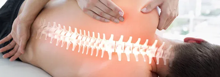 chiropractor care in Lutz FL